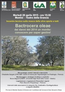 Montisi_incontro_bactrocea_olearia