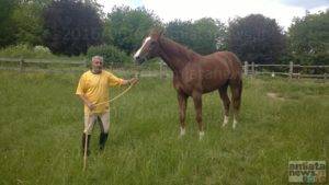 Passione_Cavallo_Piero_Giorgeschi_Sorriso_WP_20160601_018