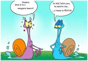 Voltaia_Pici_Lumacci_vignetta