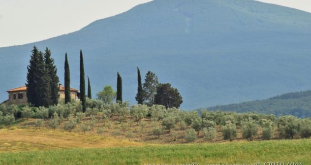 Monte_Amiata_Val_dOrcia_20190621__DSC0466