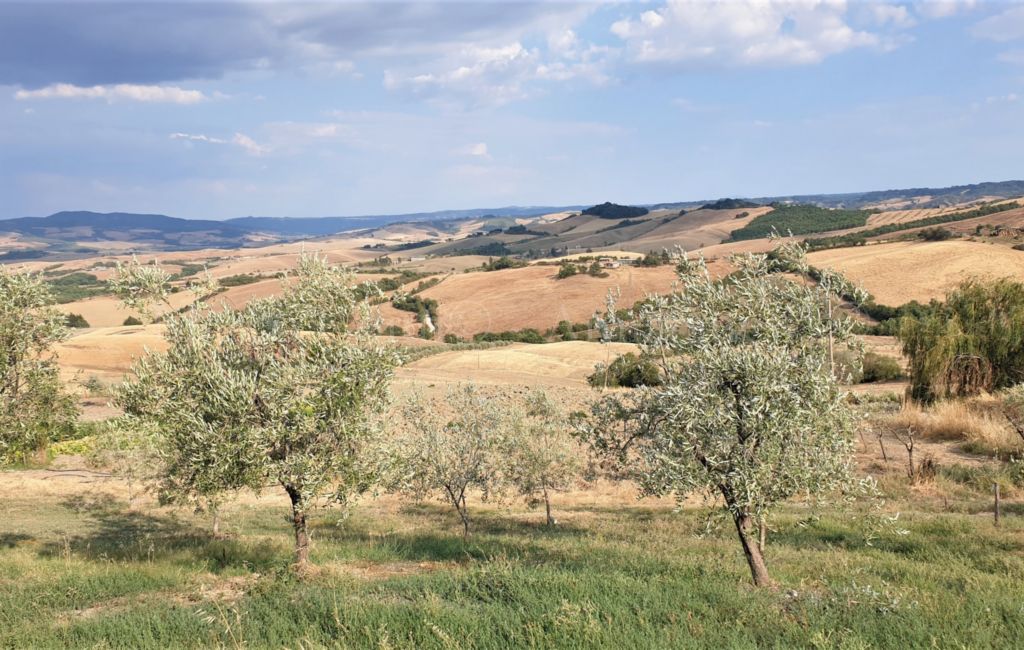 Toscana. PSR, Ue approva le modifiche novità per zone svantaggiate